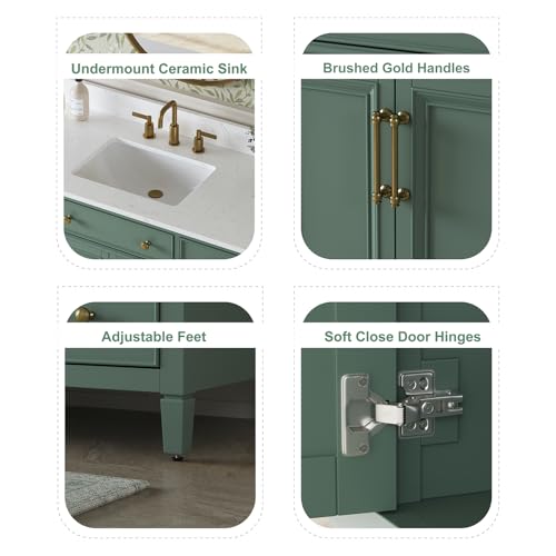 DELUXE LIVING 48\" Bathroom Vanity with Sink, Sea Green Painted Vanity with Countertop & Backsplash, Stone top and Soft-Closing Drawers, Solid Wood Frame, No Assembly Required