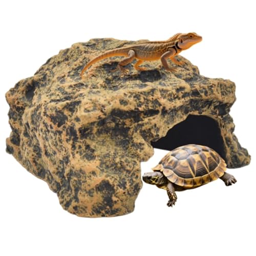 Foivozs  ঒ރVF^[ TB T̕  B nEX T̓Ȃڂ xeeX J JVF^[ T VF^[ gJQ VF^[  n  蕨ANZT[ (M)