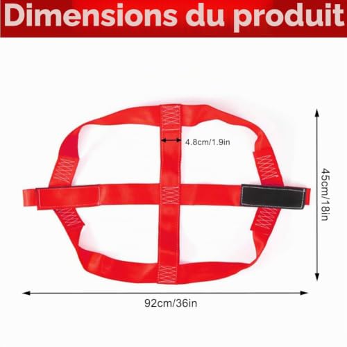 Aoreun Sangle Moto Remorque, Sangle D'arrimage Universelle pour Roue ArrièRe de Moto, Sangle de Fixation de Véhicule pour Roue Arrière Pneu - Rouge – vue 6