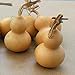 FidgetGear 5pcs Natural Bottle GOURDS (Dried & Cleaned) Small Calabash Gourd Craft DIY Decor