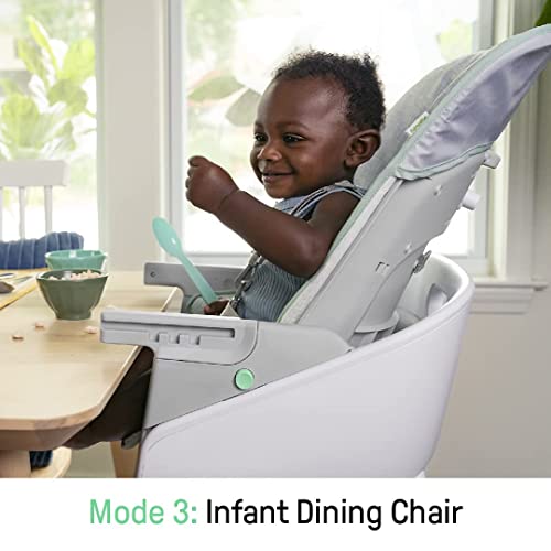 Image of Ingenuity Beanstalk Baby to Big Kid 6-in-1 High Chair Converts from Soothing Infant Seat to Dining Booster Seat and more, Newborn to 5 Yrs - Ray