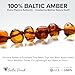 Baltic Proud Amber Necklace (Unisex Cognac Polished 12.5 Inches) - Certified Premium Quality Raw Baltic Sea Amber