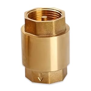 PYEUIFT Terugslagklep 1 inch, terugslagklep messing AG A IG, DN25 roestbestendig waterdicht voor pomp, tuin, wasmachine, vat