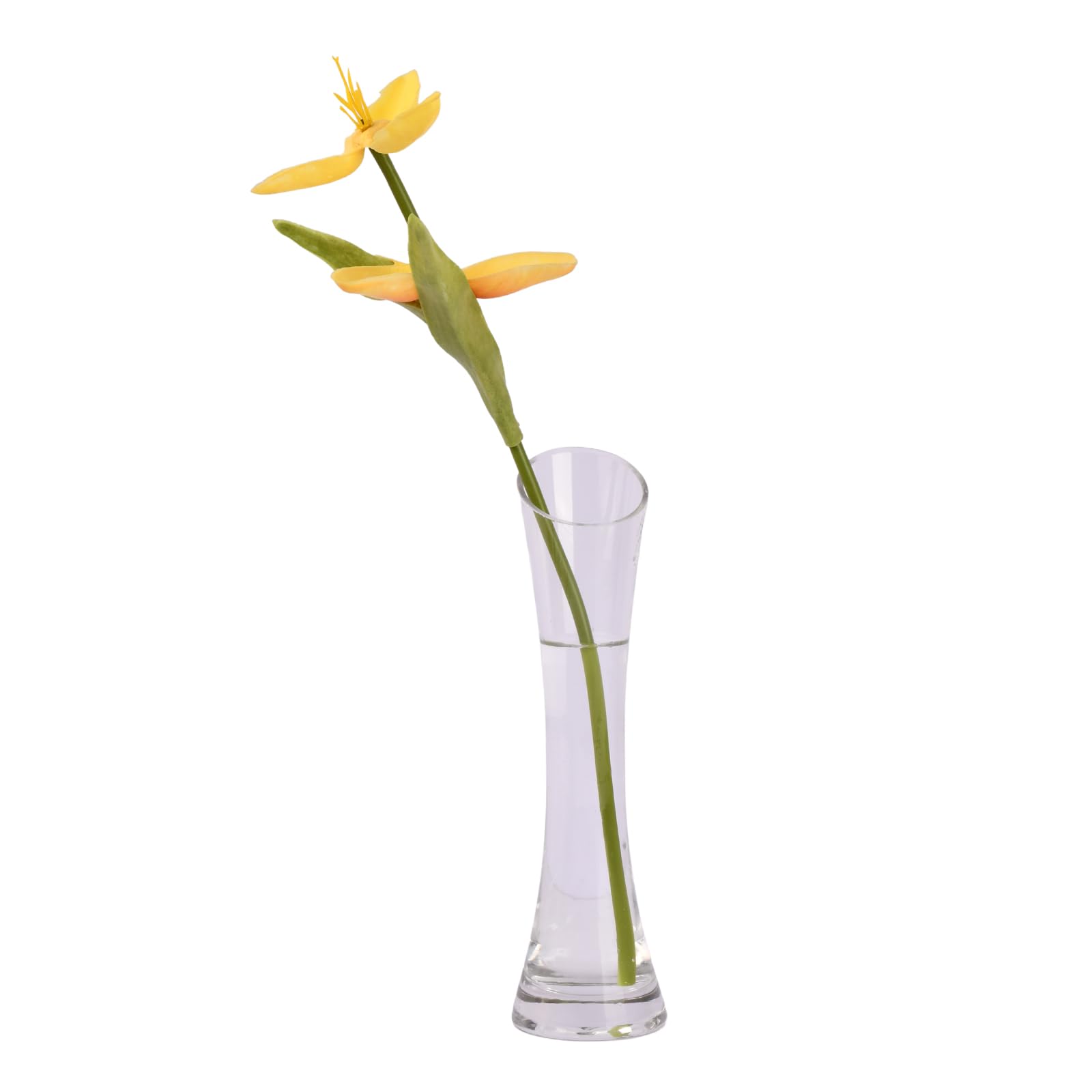 Dewocke Jarrón de Cristal Transparente para Flores, 20cm de Alto Florero de Cristal Pequeño, Jarrón de un Solo Tallo Estrechos, Florero Decorativos Modernos para Decoración del Hogar, Oficina, Boda