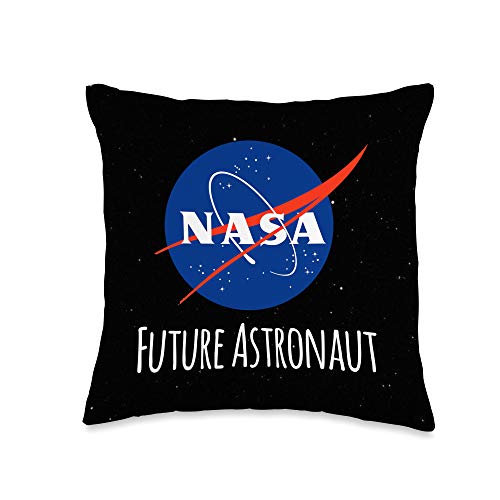 nasa pillow