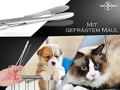 InstrumenteNrw Tierhaarentferner Tierhaar Zupfzange
