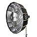 Flashpoint 2X eVOLV 200 Pro TTL Pocket Flash Kit - Godox AD200 Pro + Glow EZ Lock Collapsible Silver Beauty Dish (42