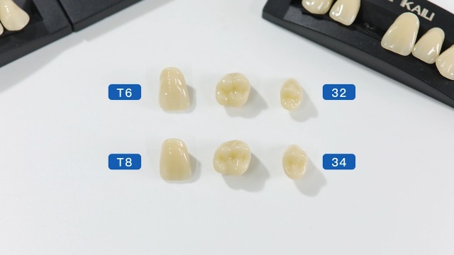 Dental Acrylic Resin Denture False Teeth A2 T6