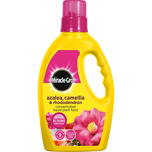 Miracle-Gro 1 Litre Azalea, Camellia and Rhododendron Liquid Plant Food