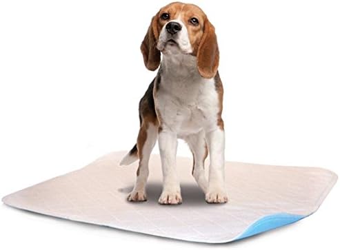 LennyPads Ultra Absorbent, Reusable, Training, Housebreaking and Travel Washable Pee Pads - (24”x36”) XL Long Pad