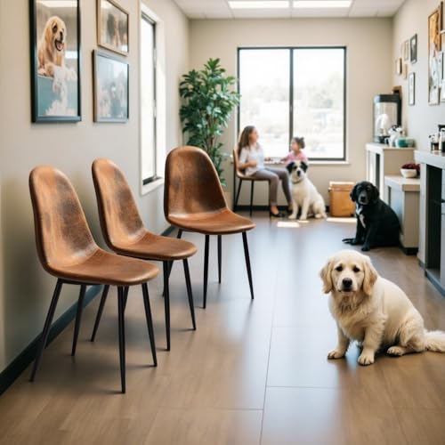 FurnitureR Friseur/Salon Stuhl - Höhenverstellbar, Drehbar, Braun Veloursimitat, Metallkreuzgestell, Hydraulik? Nein, Klassischer Basissitz