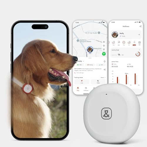 Image of Molly&Cody GPS + Bluetooth Pet Tracker for Cats & Dogs - Real‑Time Tracking, Virtual Fence, IP67 Waterproof, Up to 60‑Day Battery, Health Monitoring, iOS /Android - Subscription Required (White)