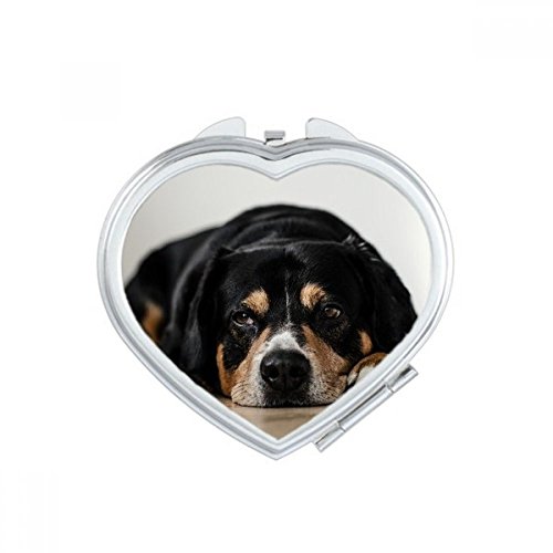 Chiot pour animaux miroir compact maquillage portable mignon multicolor - 2
