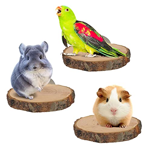 YKD 3 Pieces Chinchilla Round Pedal Wooden Platform, Squirrel Gerbil Suger Glider and Dwarf Hamster Natural Fruit Wood Standing Platform, Chinchilla Jumping Platform, Bird Perch Platform