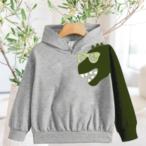 Image of Hoodies Sweatshirts for Boys & Girls