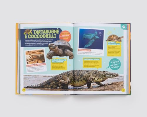 La Mia Prima Grande Enciclopedia. Ediz. A Colori - 3