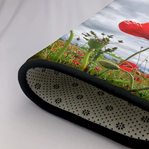 Area Rugs For Living-Room, Red Poppy Flower Printed Bedroom Carpets Non-Slip Floor Mat, Office 80X58 Inch Rugs #TOP4