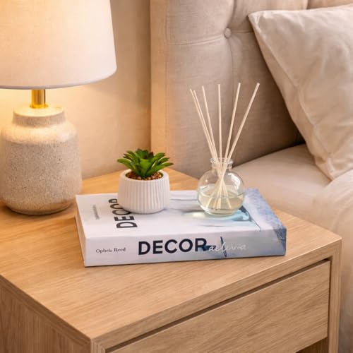 Conjunto livro decorativo enfeite