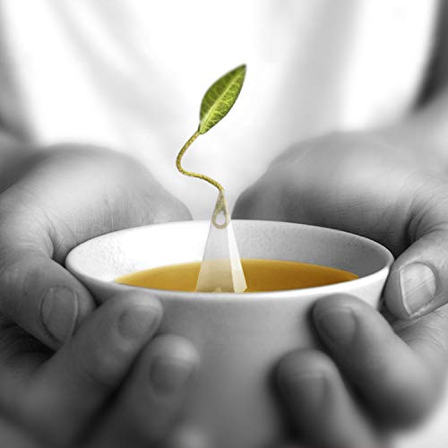 Tea Forte Cherry Blossom Hanami Green Tea Event Box thumb #4