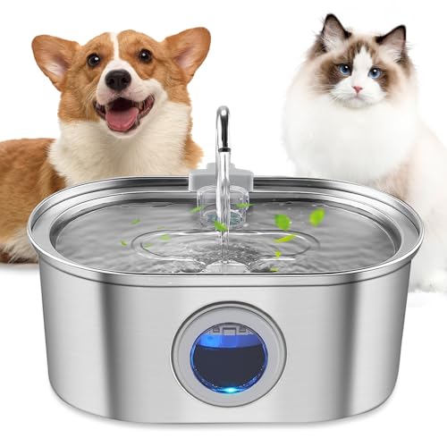 Cat Water Fountain 32l108oz Stainless Steel Pet Water Fountain Automatic Dog Water Fountain with Water Level Window Quiet Pump Multifilter Dishwasher Safe Water Fountain for Cats Inside  Cucciolini Doodles Cat water fountain 3 2l108oz stainless steel pet water fountain automatic dog water fountain with water level window quiet pump multi filter dishwasher safe water fountain for cats inside   cucciolini doodles