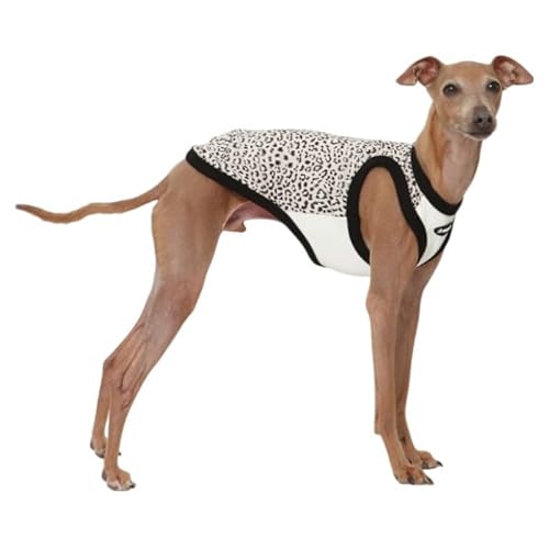 D DOGGY STAR C^O qE ^Ngbv TVc Ip[h ^ ^ ^ t ĕhbM[X^[ (Cgx[W, XL)