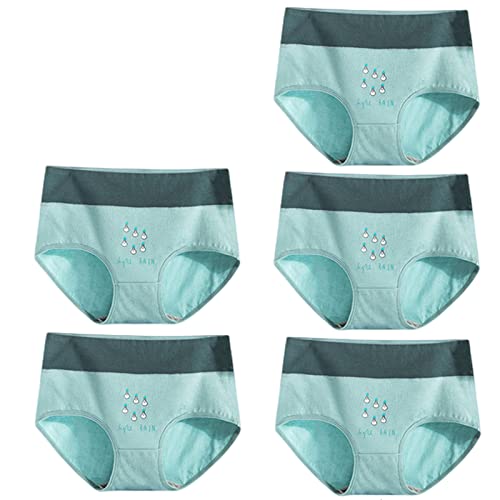 Culottes coton respirant femmes : lot de 5 slips taille haute anti-irritation grand confort