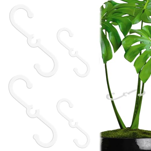 BOXOB 4 Pezzi Supporto per Fusto di Piante 2 Misure Supporto Monstera Gancio Stabilizzatore Monstera per Interni ed Esterni Piante Rampicanti da Appartamento Accessori Crescita (Trasparente)