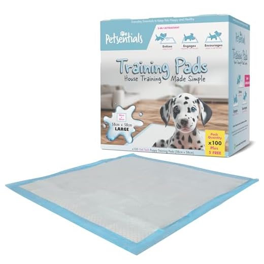 BedDog® Hundematte CORA - Komfortables Hundekissen aus Cordura, langlebige Haustier-Unterlage, großes Hundebett, S (50x30cm), Salamanca, anthrazit 4 Petsentials Trainingsunterlagen / Pads, 105 Stück