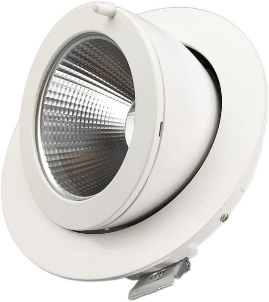 25w White LED Adjustable Recessed Downlight Rotary Stretching Living Room Lighting Recessed Ceiling Light 2000LM High Color Rendering CRI 80 CE RoHS Certification Spotlight High Brightness (Col