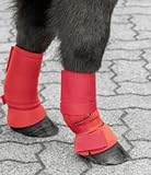 rot Shetty Fesselkopfgamaschen mit Klett