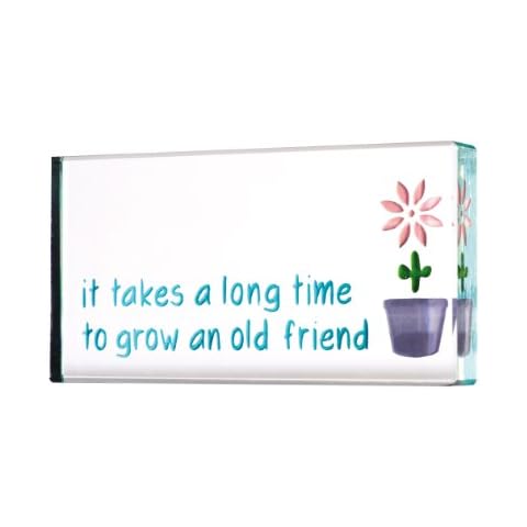 Spaceform Landscape Token - It Takes a Long Time to Grow an Old Friend Cover