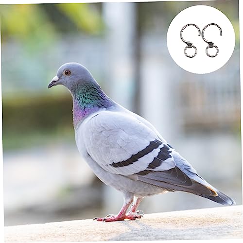 BESPORTBLE 3 Pares De Anéis De Identificação De Pássaros No Tornozelo Calopsita Aves De Caça Anéis D