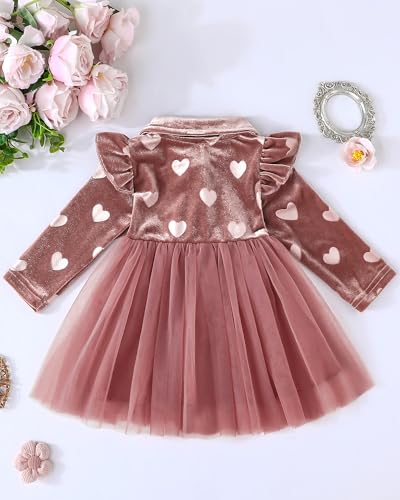 Rosibel Baby Girls Velvet Tutu Dress Infant Girl Special Occasion Clothes Fall Winter Dresses Outfits 6M to 3T3