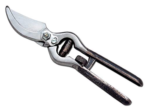 AUSONIA - 31006 Sécateur professionnel pour tailler le vignoble de 23 CM forgè avec fermeture de securutè a roulette