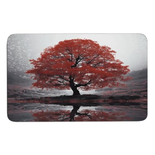 Alfombrillas Red Tree de diatomita antideslizante de 50x80 cm 2