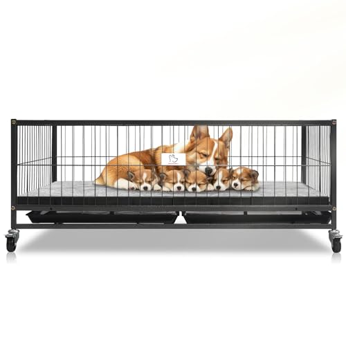 Homey Pet 43" Dog Whelping Box for Puppies, Heavy Duty Metal Whelping Box for Small Breed Dogs with Washable Plastic Floor, Removable Tray and Four Lockable Wheels