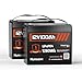 HumsiENK 12V 100Ah LiFePO4 Battery Bluetooth 2PACK - BCI Group 24, 15000+ Deep Cycle Lithium Battery, Built-in 100A BMS & Low-Temp Cutoff for RV/Marine/Trolling Motor/Off-Grid/Home Backup