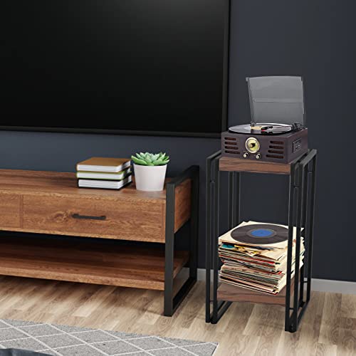 Fuslite 2 Tier Plant Stand, Vinyl Player Stand With 2 Tier Display Shelf Vintage Flower Pot Holder Plant Shelf For Living Room, Bedroom, Office #TOP2