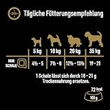 Cesar Natural Goodness Premium Hunde Nassfutter in der Schale 4 Varietäten in Sauce in Terrine Megapack 24x100g