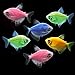 GloFish Live Fish Collections (Tetra Basic)