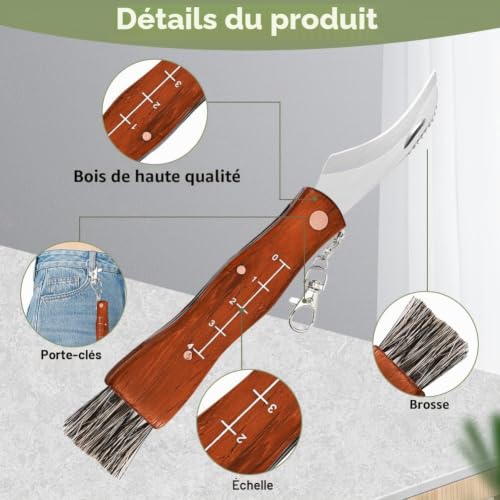 Couteau à champignons avec brosse et sac - Couteau de poche pliable en acier inoxydable avec manche en bois et porte-clés - Couteau éponge avec sac en toile - Cadeau pour cueilleur de champignons et – vue 3