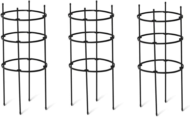 Gardeners Supply Company Pepper and Eggplant Cages Plant Stand | Sturdy & Adjustable Garden Plants Support for Eggplants Peppers & Other Fruit Bearing Plants | 13.75" D x 32" H (Set of 3)