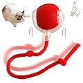 Fgbetcv Interactive Cat Ball Toy,Cat Toys for Bored Indoor Adult Cats,Motion Activated Automatic Moving Ball Toy for Indoor Cats Fast Rolling on Carpet,USB Rechargeable Cat Toys Self Play (Red)