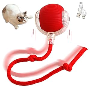 Fgbetcv Interactive Cat Ball Toy,Cat Toys for Bored Indoor Adult Cats,Motion Activated Automatic Moving Ball Toy for Indoor Cats Fast Rolling on Carpet,USB Rechargeable Cat Toys Self Play (Red)