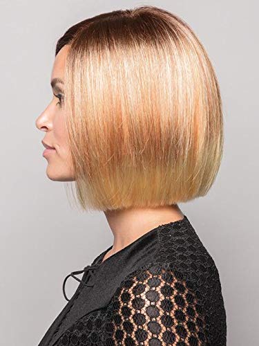 Kai Wig Color Silver Stone - Rene of Paris Wigs 12" Short Blunt Bob Cut Hand Tied Lace Front Synthetic Sleek Part Peluca Bundle MaxWigs Hairloss Booklet