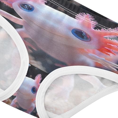 Cute Axolotl Undersea Toddler Girls's Underwear 2T 202b88344