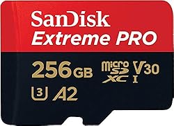 SanDisk Extreme PRO Tarjeta Micro SDXC 256 GB + ad...: Ahorra tiempo con velocidades de descarga en tarjeta de hasta 200 MB/s con la tecnología QuickFlow de SanDisk Per ottenere il massimo della velocità, utilizzala con SD e microSD PRO-READER di SanDisk Professional (vendute separatamente) Velocità di s...