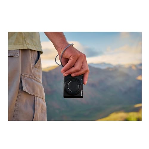 Image of Panasonic LUMIX ZS300 Compact 4K Digital Camera, 15x Zoom Travel Camera Point and Shoot (24-360mm), Small Zoom Camera for Concerts & Sports, DC-ZS300S | 15x Zoom Travel Point, Shoot (24-360mm), DC-ZS300S, While the built in flash and sensor enhance images in dim