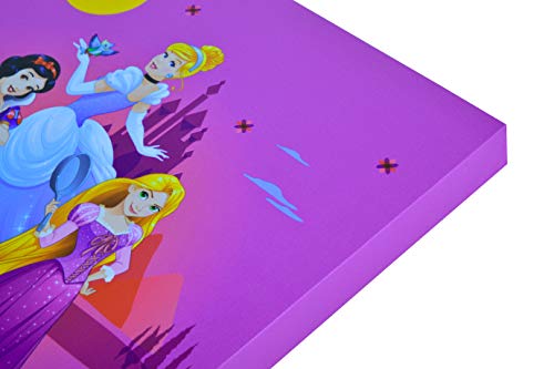 Pop Creations Disney Printed Canvas, 10" X 13.5", Princess Group Purple #TOP2