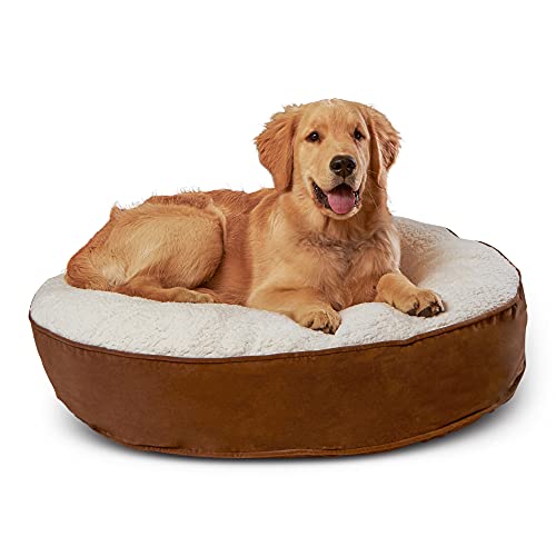Small Dog Beds